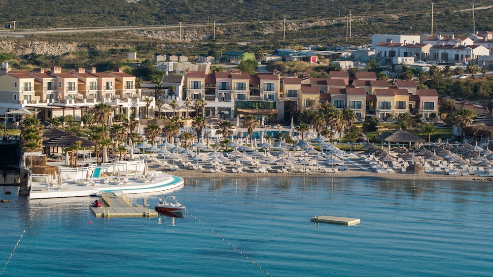 Cocos The Club Solto