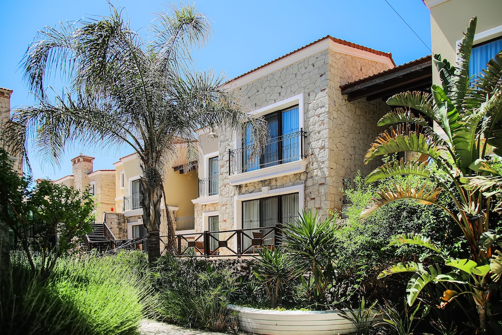 Cocos The Club Solto - Diğer görseller