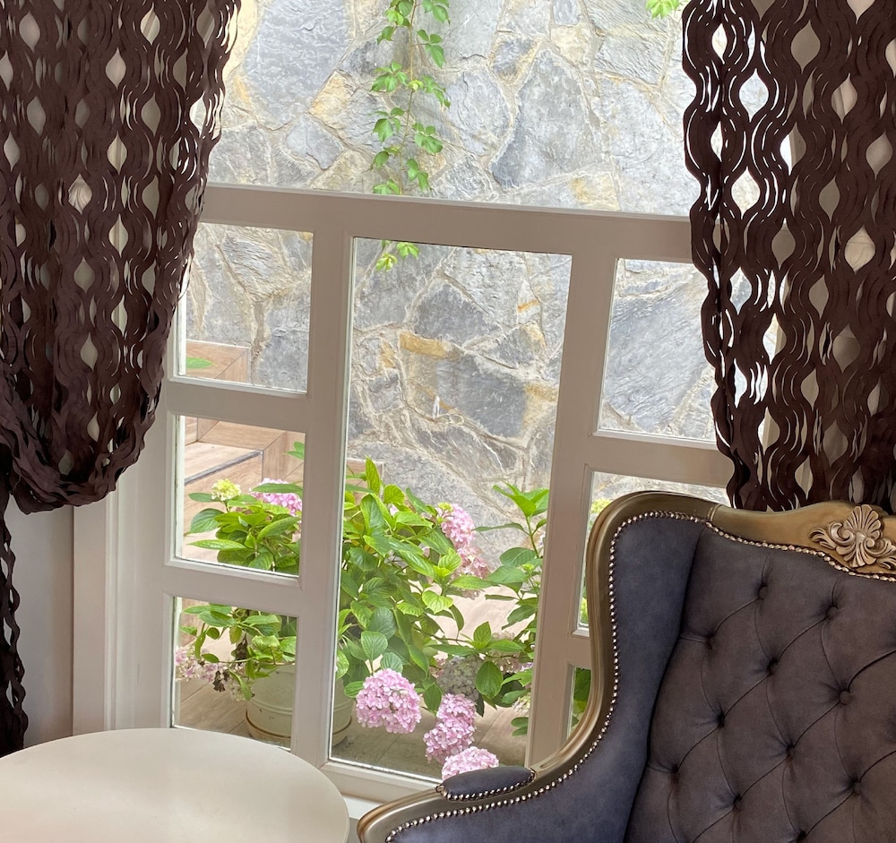 Ascot Hotel Büyükada - Diğer görseller