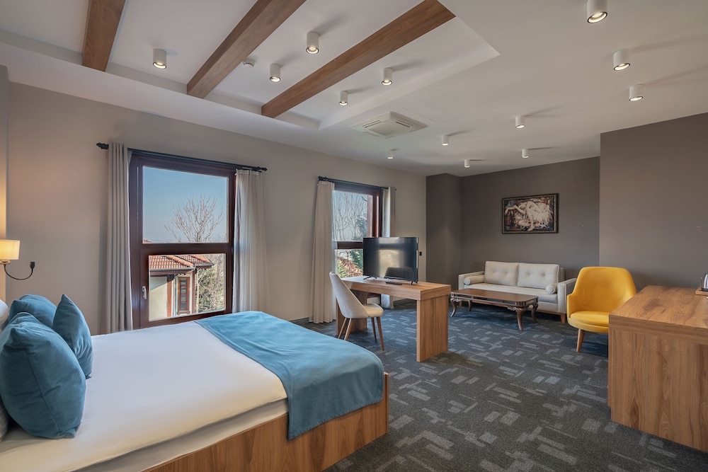 Erta Soyak Thermal Bursa - Görsel 3