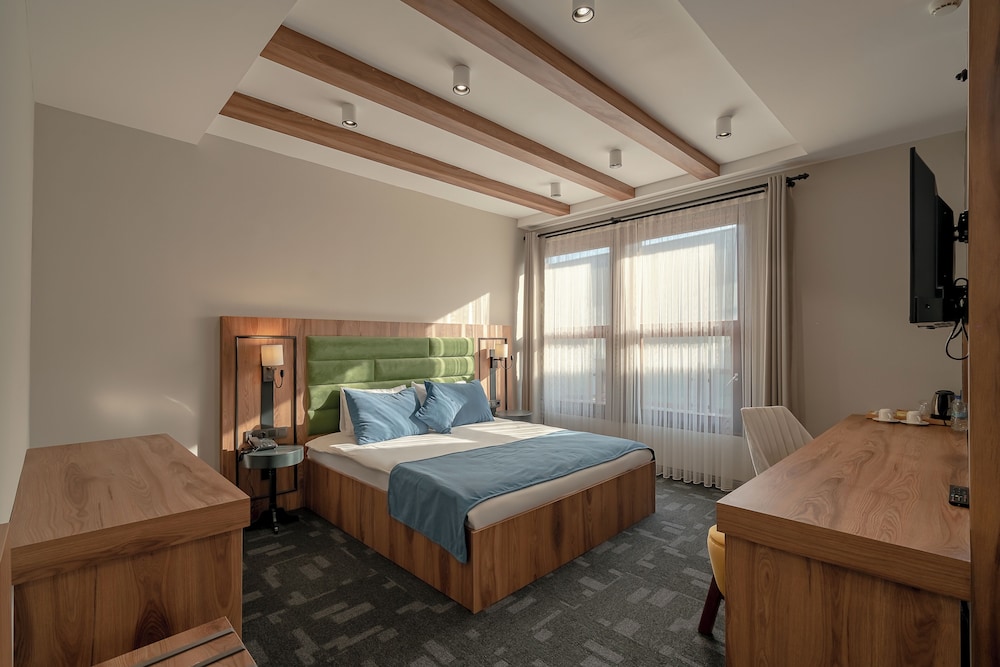 Erta Soyak Thermal Bursa - Görsel 4