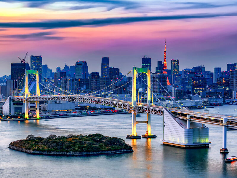 BÜYÜK JAPONYA 2026 6 GECE ANA (HND-HND) - Görsel 4