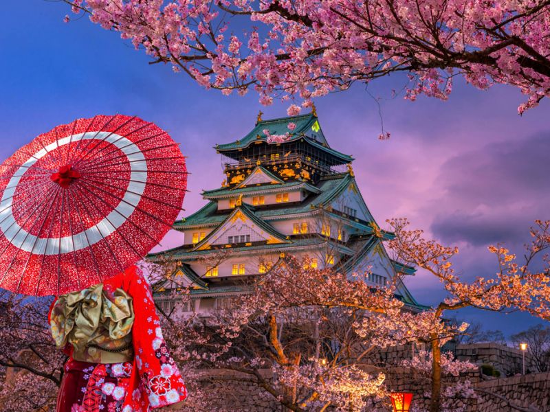 Comfort Japonya & Kore Turu Türk Hava Yolları ile 9 Gece Ekstra Turlar ve Çay Seremonisi Dahil ICN-KIX Kurban Bayramı Dönemi - Görsel 5