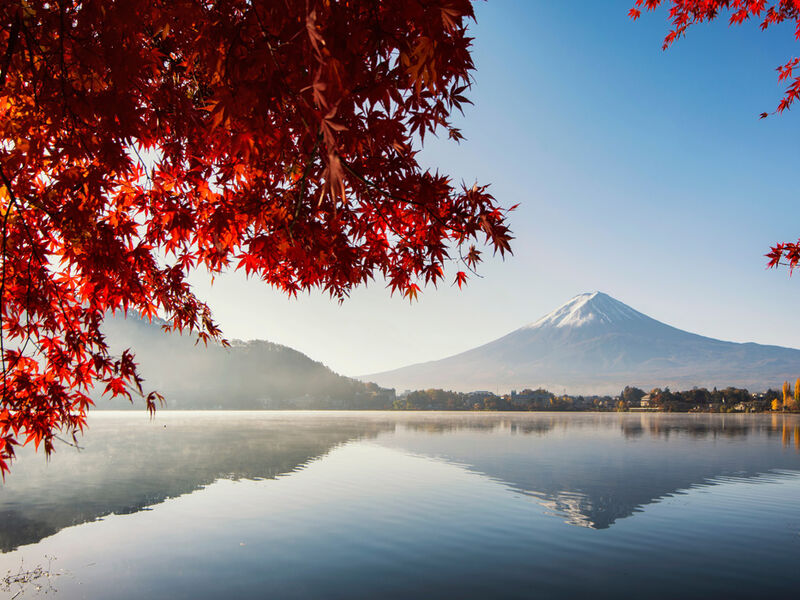 Comfort Japonya Turu Türk Hava Yolları ile 6 gece Ekstra Turlar Dahil ve Çay Seremonisi Dahil NRT-KIX 2026