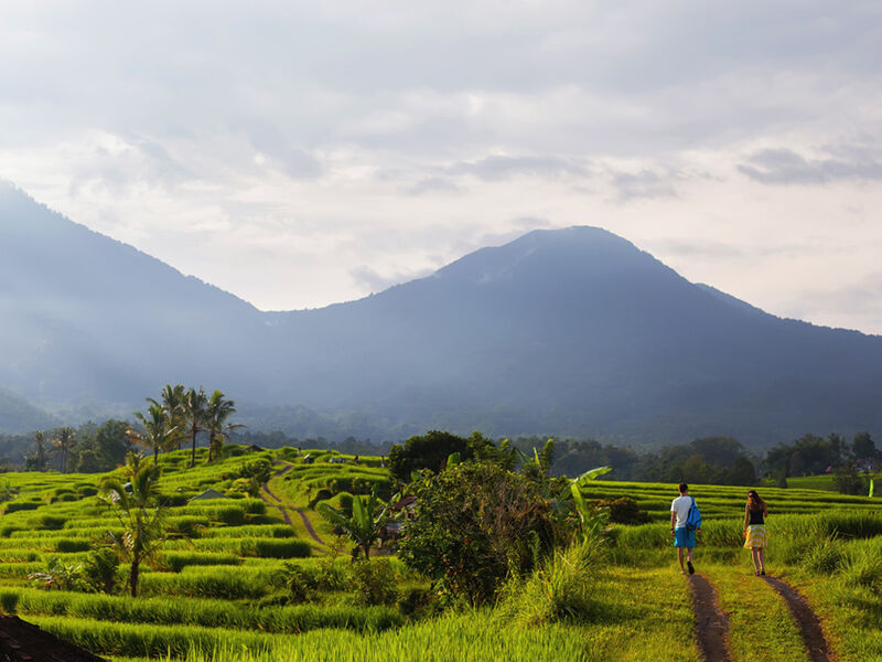 Görkemli Tropikal Ada Bali & Ubud 5 Gece - Singapur Hava Yolları ile (2026 Kış Dönemi) 1