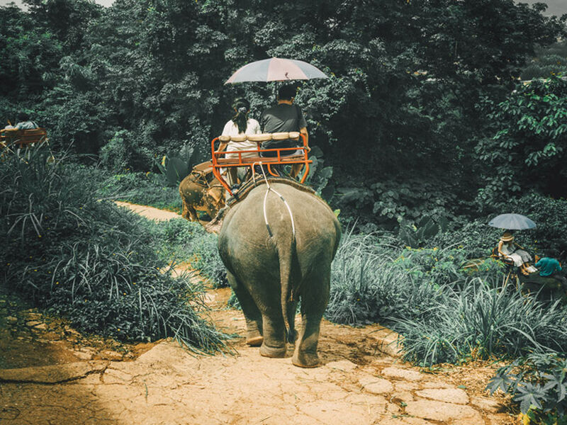 PHUKET 2026 SQ (HKT-HKT) - Görsel 5