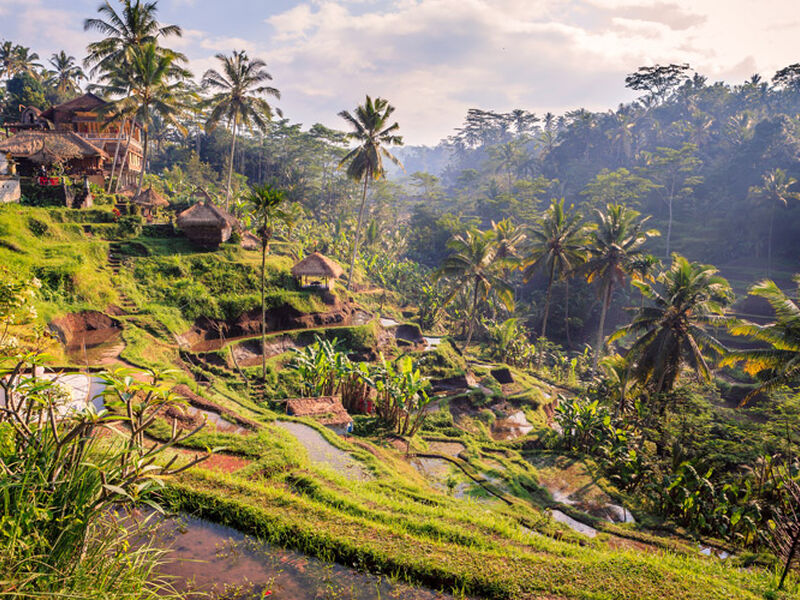 SİNGAPUR BALİ 2026 (DPS-DPS) 3