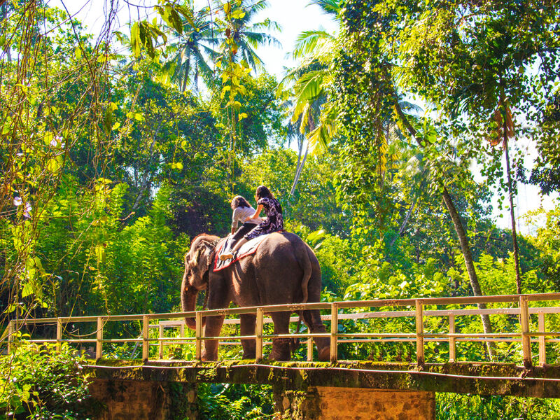 SRİ LANKA TK 2026 (CMB-CMB) 1