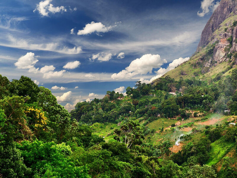 SRİ LANKA TK 2026 (CMB-CMB) - Görsel 4