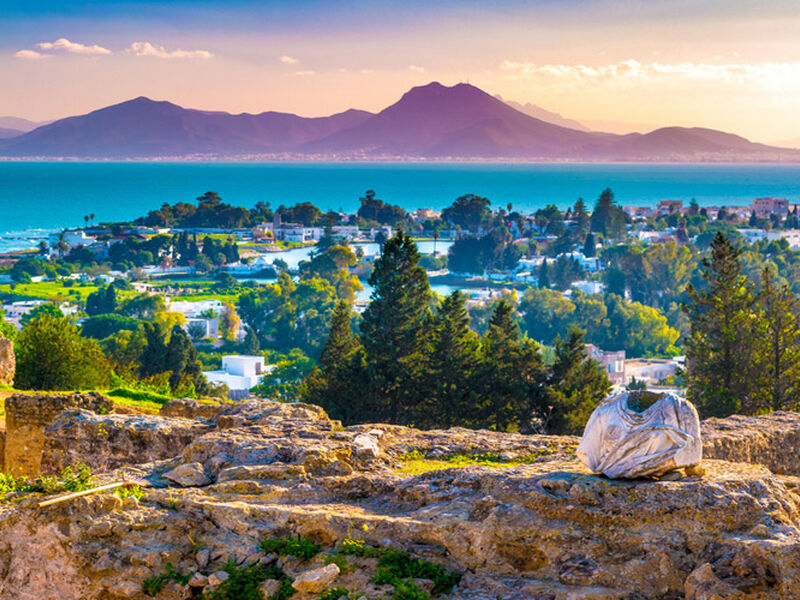 TUNUS  TK  2026 (TUN-TUN) - Görsel 5